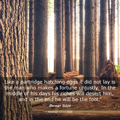 Picture 03 - Jeremiah 17:11 BSB - Like a partridge hatching eggs it did not lay is - Bible Verse Picture