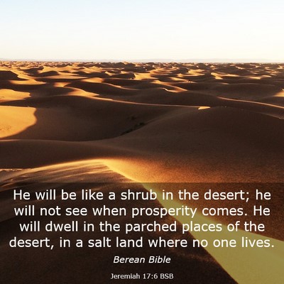 Picture 03 - Jeremiah 17:6 BSB - He will be like a shrub in the desert; he will - Bible Verse Picture