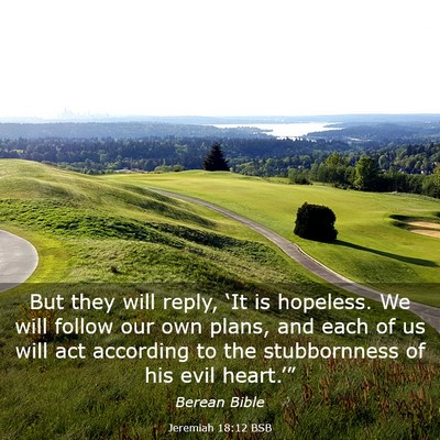 Picture 03 - Jeremiah 18:12 BSB - But they will reply, ‘It is hopeless. We will - Bible Verse Picture
