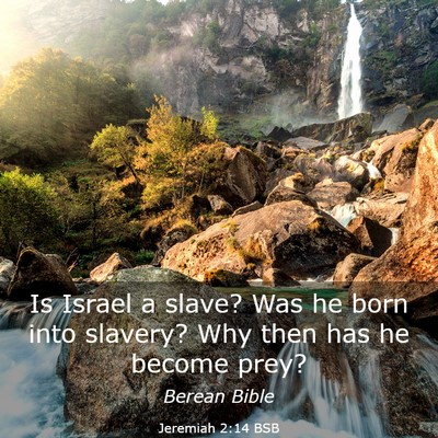 Picture 03 - Jeremiah 2:14 BSB - Is Israel a slave? Was he born into slavery? Why - Bible Verse Picture