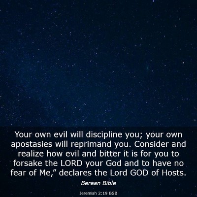 Picture 03 - Jeremiah 2:19 BSB - Your own evil will discipline you; your own - Bible Verse Picture
