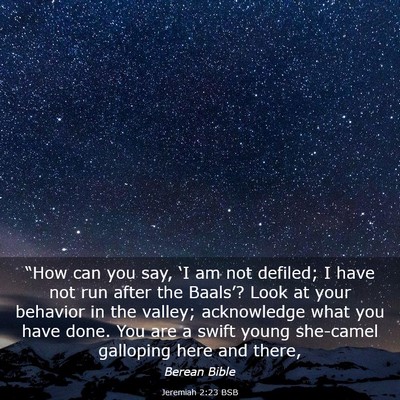 Picture 03 - Jeremiah 2:23 BSB - “How can you say, ‘I am not defiled; I have - Bible Verse Picture