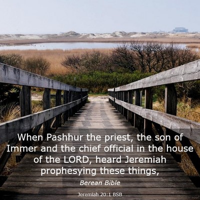 Picture 03 - Jeremiah 20:1 BSB - When Pashhur the priest, the son of Immer and the - Bible Verse Picture