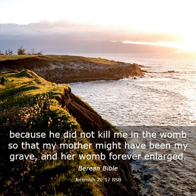 Picture 03 - Jeremiah 20:17 BSB - because he did not kill me in the womb so that my - Bible Verse Picture