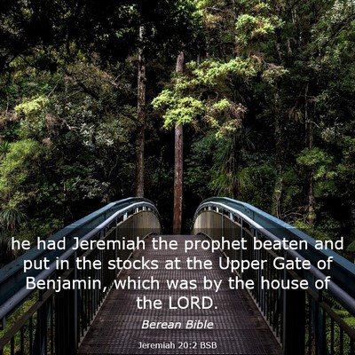 Picture 03 - Jeremiah 20:2 BSB - he had Jeremiah the prophet beaten and put in the - Bible Verse Picture