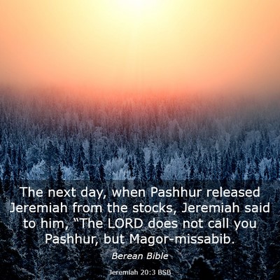 Picture 03 - Jeremiah 20:3 BSB - The next day, when Pashhur released Jeremiah from - Bible Verse Picture
