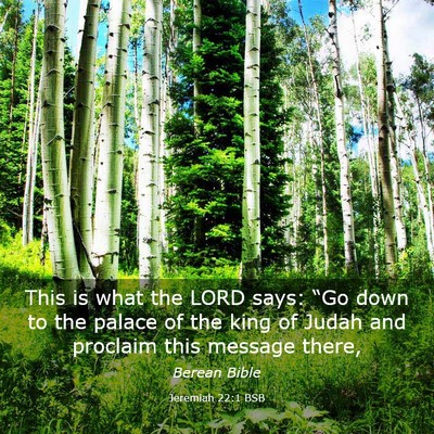 Picture 03 - Jeremiah 22:1 BSB - This is what the LORD says: “Go down to the - Bible Verse Picture