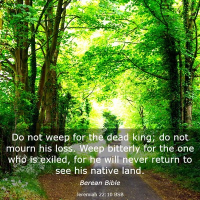 Picture 03 - Jeremiah 22:10 BSB - Do not weep for the dead king; do not mourn his - Bible Verse Picture