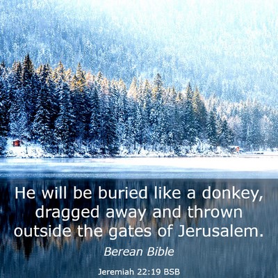 Picture 03 - Jeremiah 22:19 BSB - He will be buried like a donkey, dragged away and - Bible Verse Picture