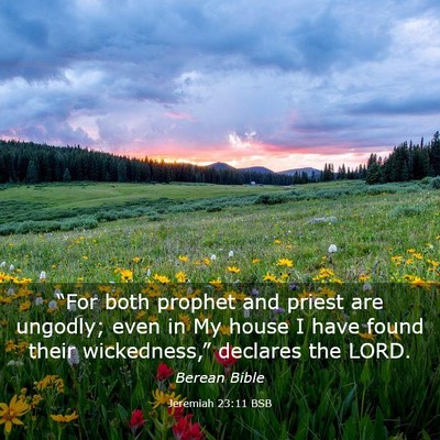 Picture 03 - Jeremiah 23:11 BSB - “For both prophet and priest are ungodly; even - Bible Verse Picture