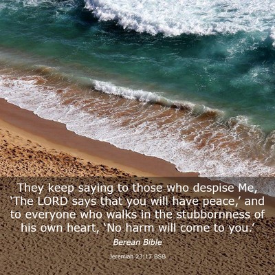 Picture 03 - Jeremiah 23:17 BSB - They keep saying to those who despise Me, ‘The - Bible Verse Picture
