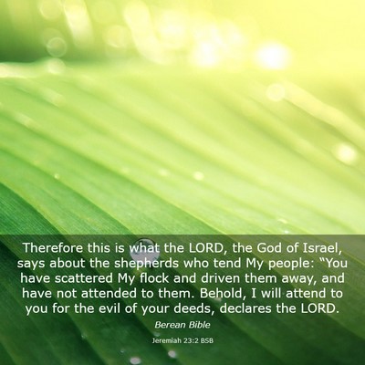 Picture 03 - Jeremiah 23:2 BSB - Therefore this is what the LORD, the God of - Bible Verse Picture