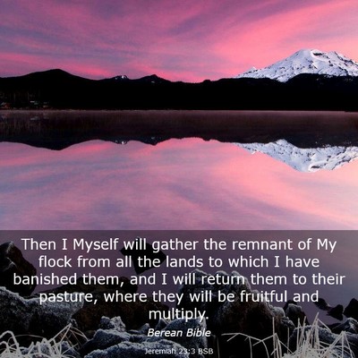 Picture 03 - Jeremiah 23:3 BSB - Then I Myself will gather the remnant of My flock - Bible Verse Picture