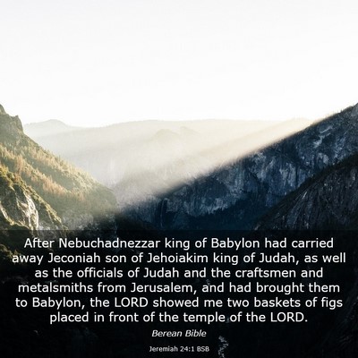 Picture 03 - Jeremiah 24:1 BSB - After Nebuchadnezzar king of Babylon had carried - Bible Verse Picture