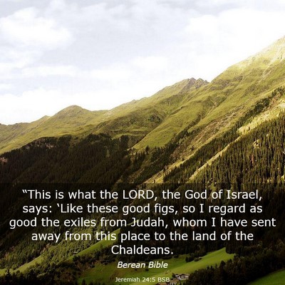 Picture 03 - Jeremiah 24:5 BSB - “This is what the LORD, the God of Israel, - Bible Verse Picture