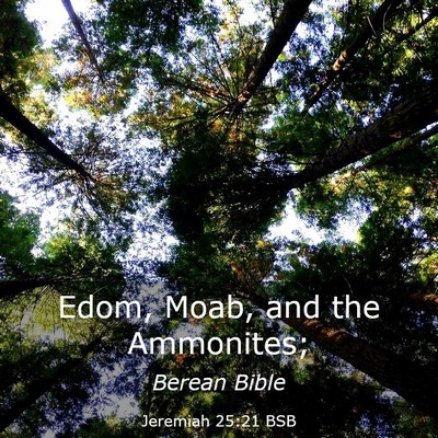Picture 03 - Jeremiah 25:21 BSB - Edom, Moab, and the - Bible Verse Picture
