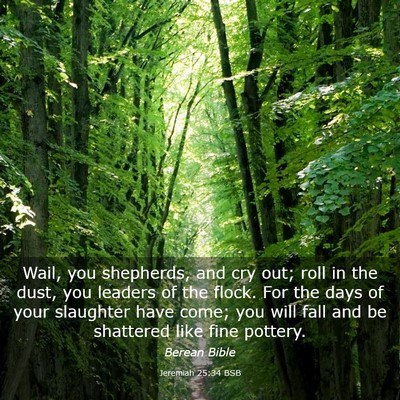 Picture 03 - Jeremiah 25:34 BSB - Wail, you shepherds, and cry out; roll in the - Bible Verse Picture