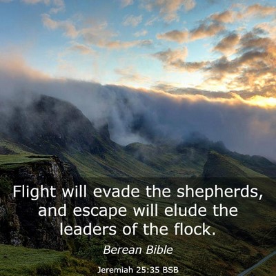 Picture 03 - Jeremiah 25:35 BSB - Flight will evade the shepherds, and escape will - Bible Verse Picture