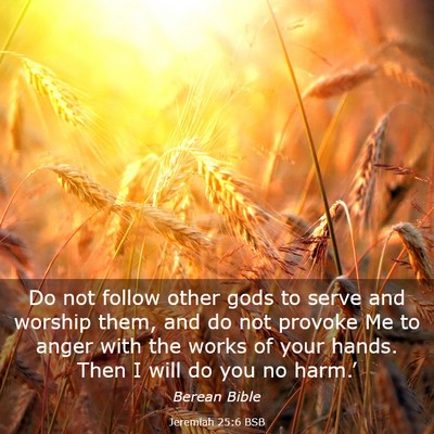 Picture 03 - Jeremiah 25:6 BSB - Do not follow other gods to serve and worship - Bible Verse Picture