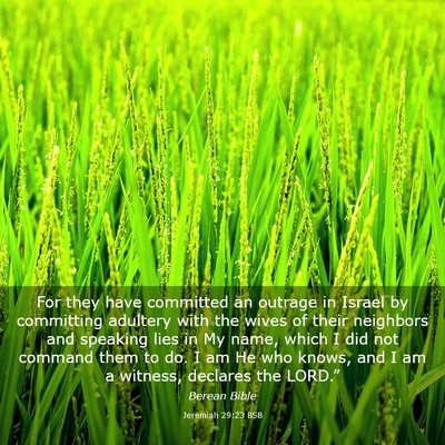 Picture 03 - Jeremiah 29:23 BSB - For they have committed an outrage in Israel by - Bible Verse Picture