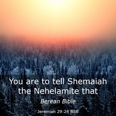 Picture 03 - Jeremiah 29:24 BSB - You are to tell Shemaiah the Nehelamite - Bible Verse Picture