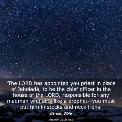 Picture 03 - Jeremiah 29:26 BSB - ‘The LORD has appointed you priest in place of - Bible Verse Picture