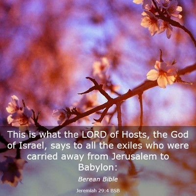 Picture 03 - Jeremiah 29:4 BSB - This is what the LORD of Hosts, the God of - Bible Verse Picture