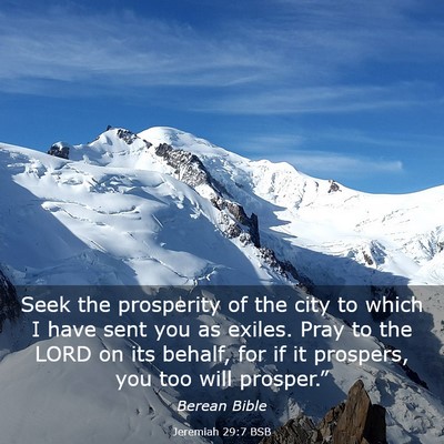 Picture 03 - Jeremiah 29:7 BSB - Seek the prosperity of the city to which I have - Bible Verse Picture