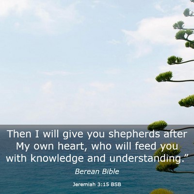 Picture 03 - Jeremiah 3:15 BSB - Then I will give you shepherds after My own - Bible Verse Picture