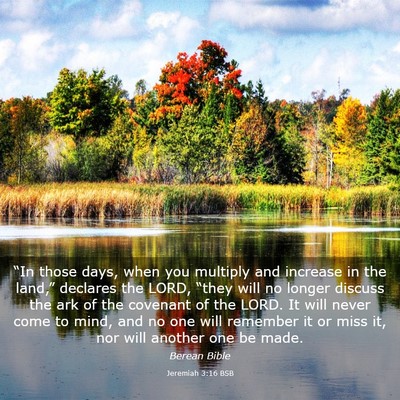 Picture 03 - Jeremiah 3:16 BSB - “In those days, when you multiply and increase - Bible Verse Picture