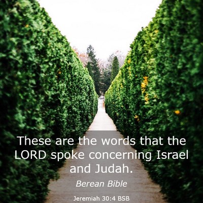 Picture 03 - Jeremiah 30:4 BSB - These are the words that the LORD spoke - Bible Verse Picture