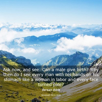 Picture 03 - Jeremiah 30:6 BSB - Ask now, and see: Can a male give birth? Why then - Bible Verse Picture