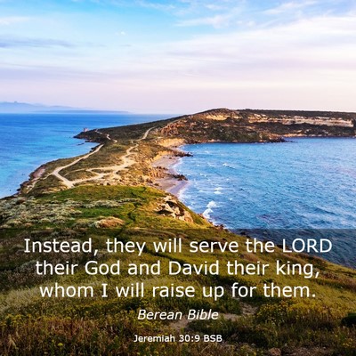 Picture 03 - Jeremiah 30:9 BSB - Instead, they will serve the LORD their God and - Bible Verse Picture