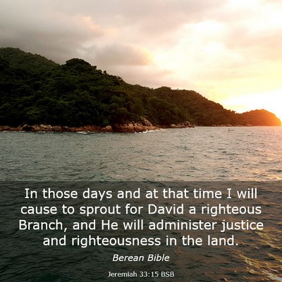 Picture 03 - Jeremiah 33:15 BSB - In those days and at that time I will cause to - Bible Verse Picture