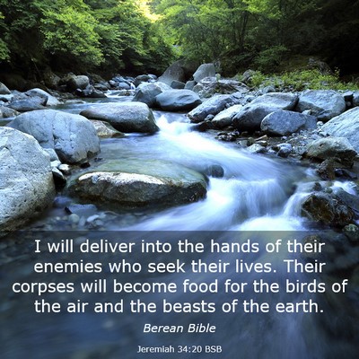 Picture 03 - Jeremiah 34:20 BSB - I will deliver into the hands of their enemies - Bible Verse Picture