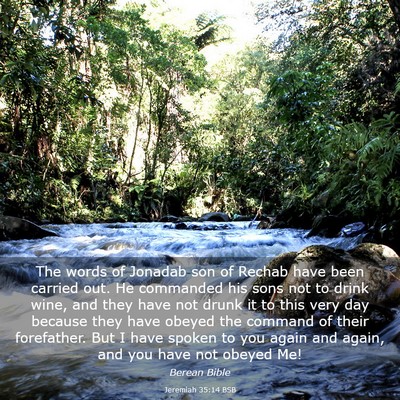 Picture 03 - Jeremiah 35:14 BSB - The words of Jonadab son of Rechab have been - Bible Verse Picture