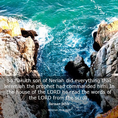 Picture 03 - Jeremiah 36:8 BSB - So Baruch son of Neriah did everything that - Bible Verse Picture