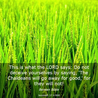 Picture 03 - Jeremiah 37:9 BSB - This is what the LORD says: Do not deceive - Bible Verse Picture