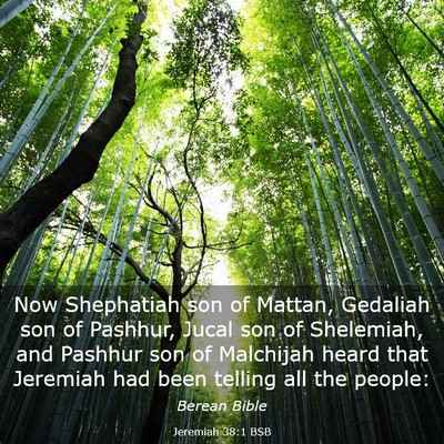 Picture 03 - Jeremiah 38:1 BSB - Now Shephatiah son of Mattan, Gedaliah son of - Bible Verse Picture