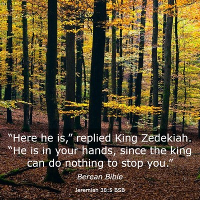 Picture 03 - Jeremiah 38:5 BSB - “Here he is,” replied King Zedekiah. “He is - Bible Verse Picture