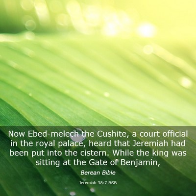 Picture 03 - Jeremiah 38:7 BSB - Now Ebed-melech the Cushite, a court official in - Bible Verse Picture