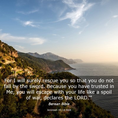 Picture 03 - Jeremiah 39:18 BSB - For I will surely rescue you so that you do not - Bible Verse Picture