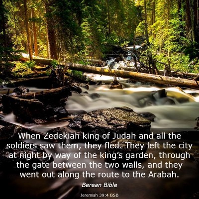 Picture 03 - Jeremiah 39:4 BSB - When Zedekiah king of Judah and all the soldiers - Bible Verse Picture