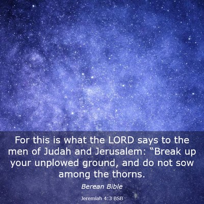 Picture 03 - Jeremiah 4:3 BSB - For this is what the LORD says to the men of - Bible Verse Picture