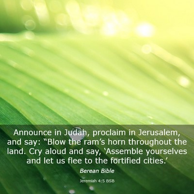 Picture 03 - Jeremiah 4:5 BSB - Announce in Judah, proclaim in Jerusalem, and - Bible Verse Picture