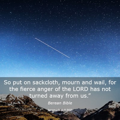 Picture 03 - Jeremiah 4:8 BSB - So put on sackcloth, mourn and wail, for the - Bible Verse Picture