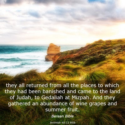 Picture 03 - Jeremiah 40:12 BSB - they all returned from all the places to which - Bible Verse Picture
