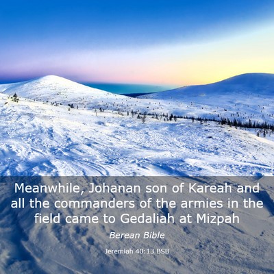 Picture 03 - Jeremiah 40:13 BSB - Meanwhile, Johanan son of Kareah and all the - Bible Verse Picture