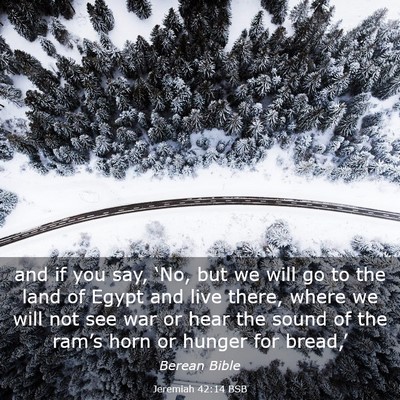 Picture 03 - Jeremiah 42:14 BSB - and if you say, ‘No, but we will go to the land - Bible Verse Picture