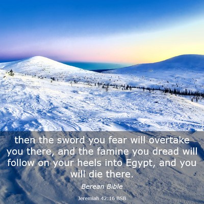Picture 03 - Jeremiah 42:16 BSB - then the sword you fear will overtake you there, - Bible Verse Picture